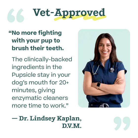 Woof - Pupsicle Mix - Doggy Dental