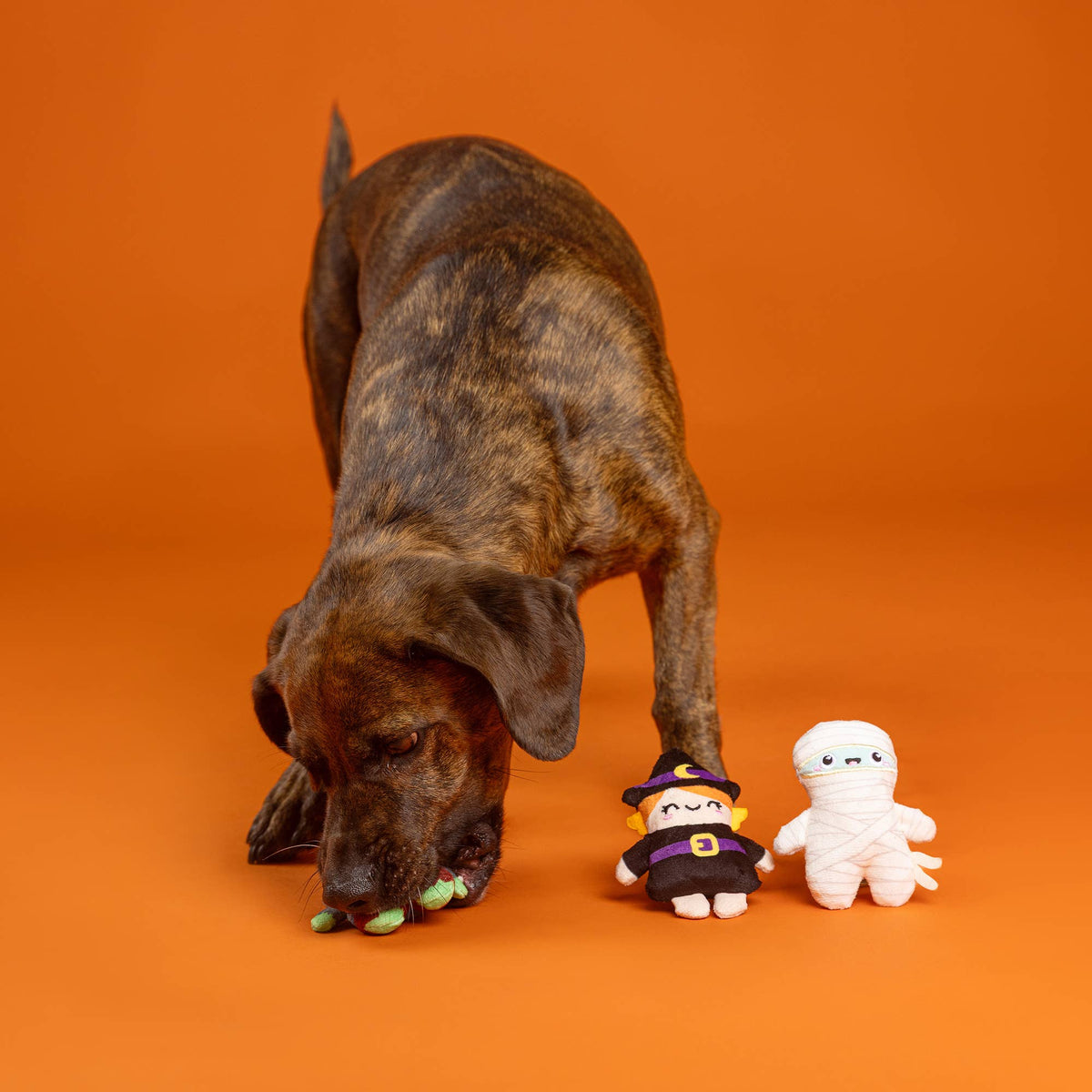 Petshop by Fringe Studio - Ghouls Wanna Have Fun Set