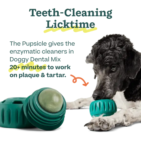 Woof - Pupsicle Mix - Doggy Dental