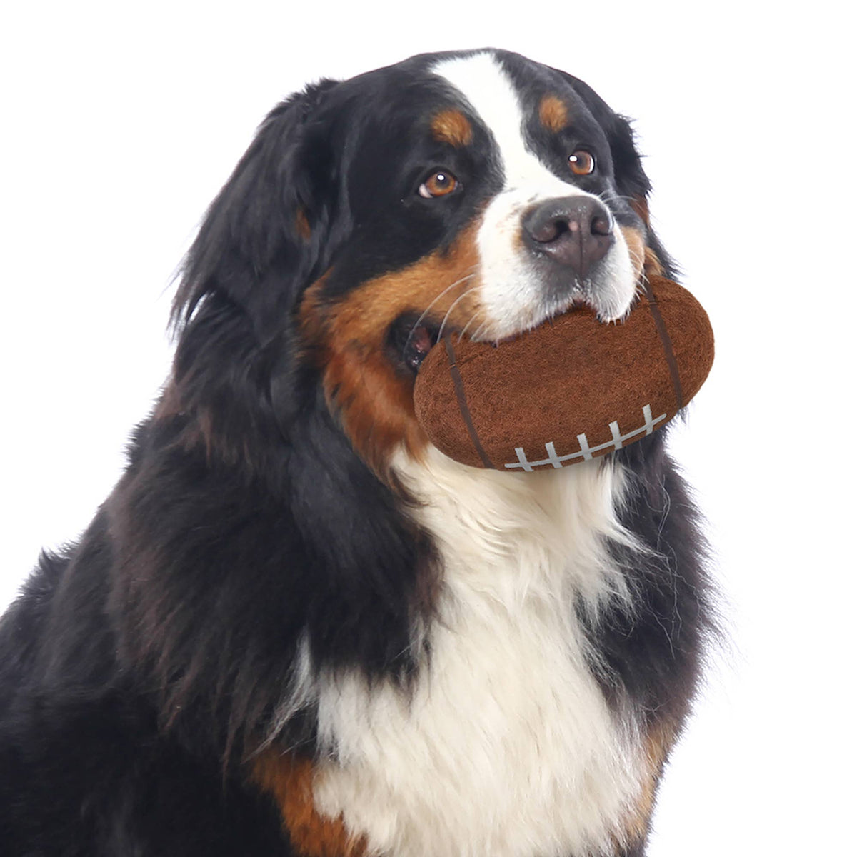 NFL Seattle Seahawks Tough Chewer Ball