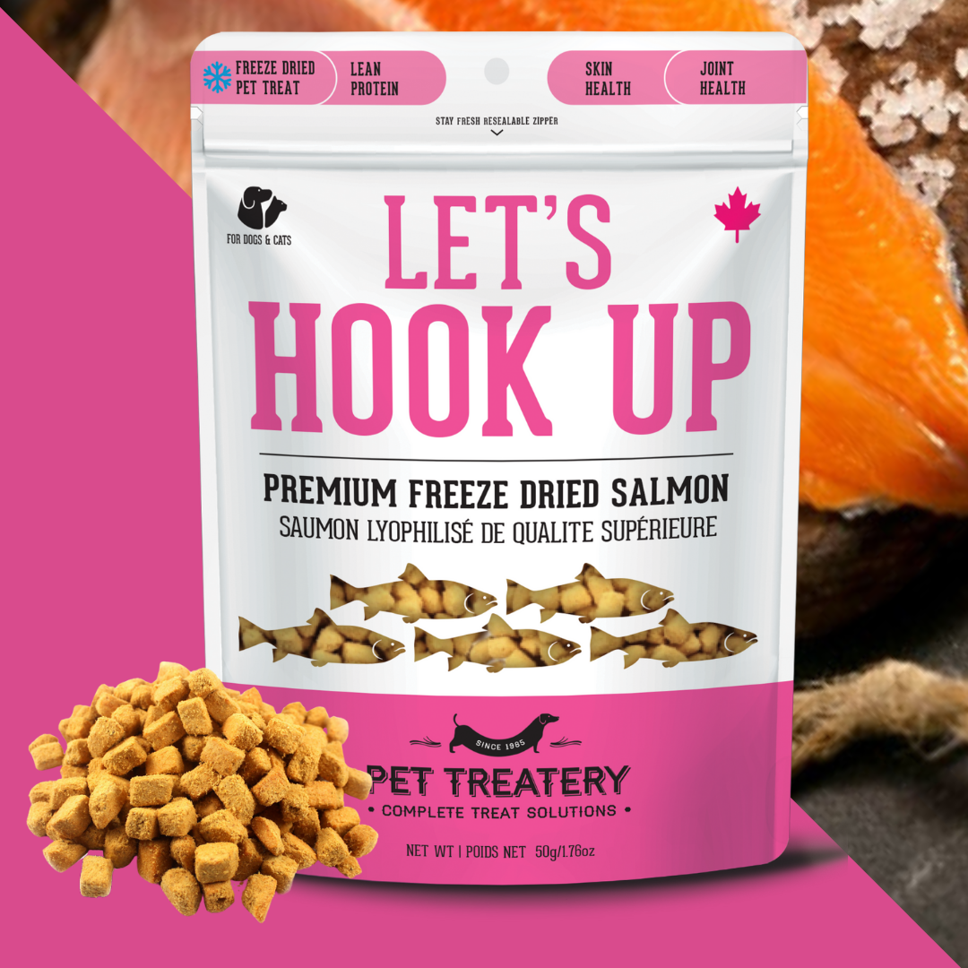The Granville Island Pet Treatery - Let's Hook Up