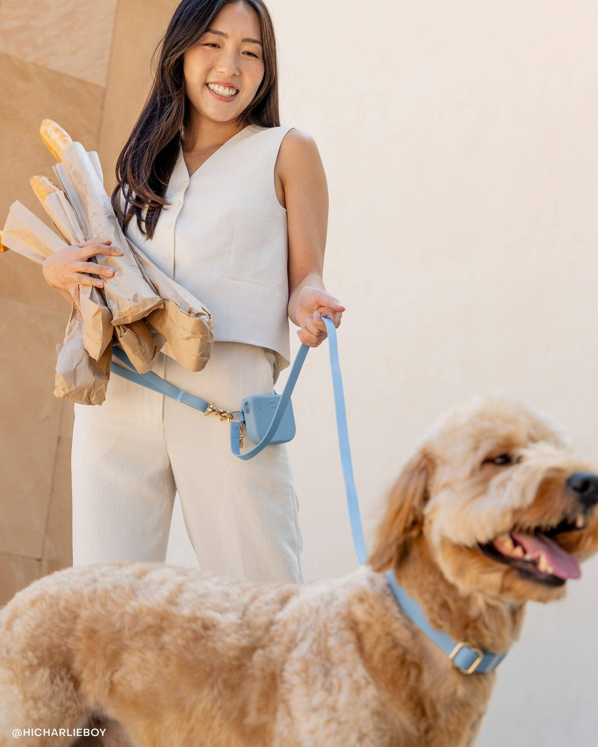 Sunny Tails - Malibu Blue Snap Dog Treat Pouch
