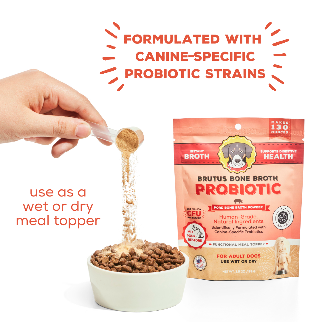 Brutus Broth - Probiotic Pork Bone Broth