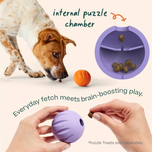 Woof - FlyBall