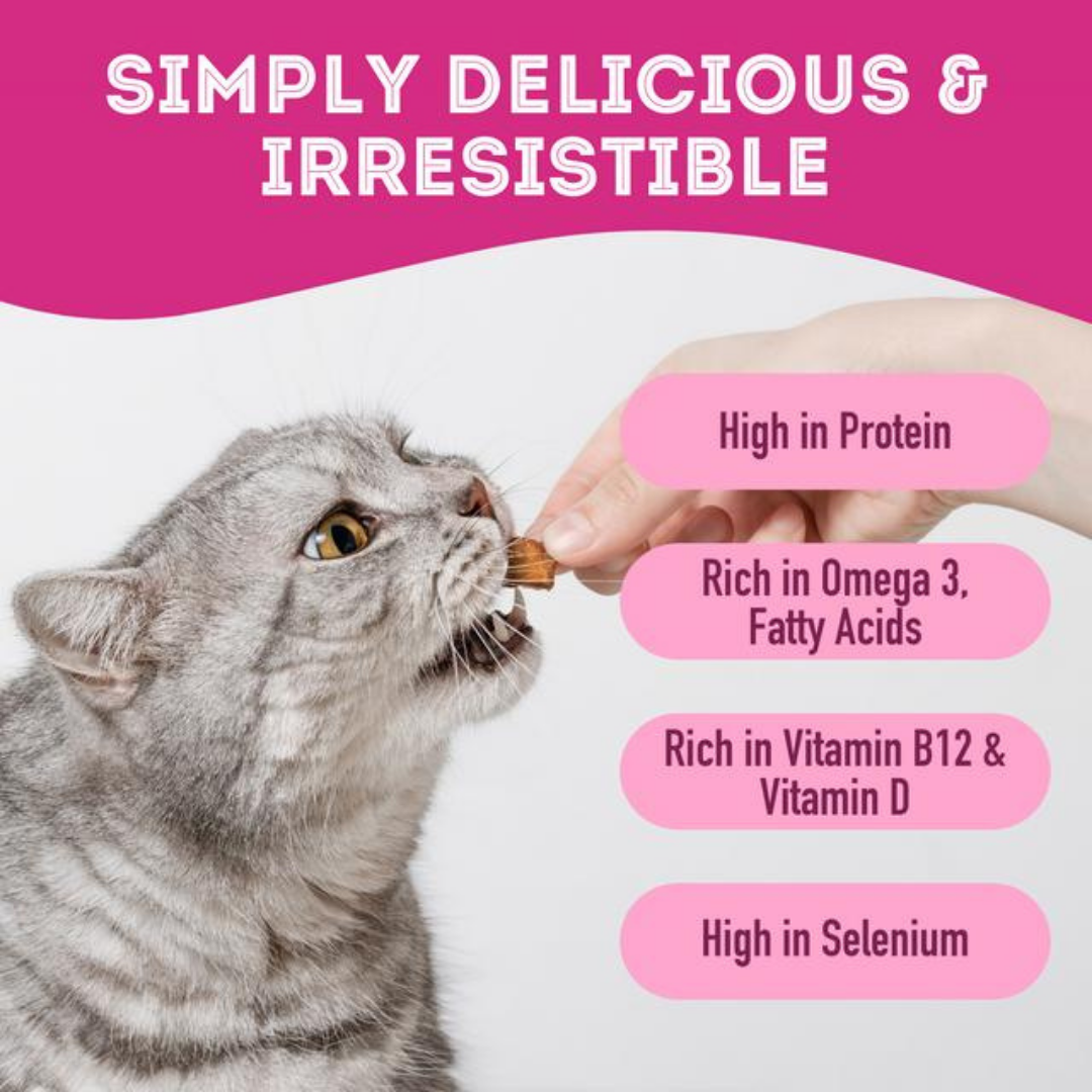 The Granville Island Pet Treatery - Let's Hook Up