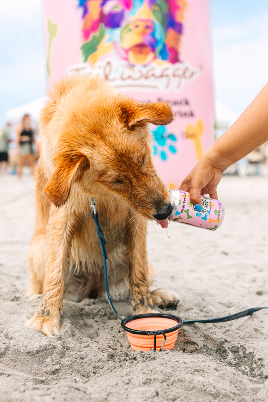 Tailwagger Dog Beer - Beefy Brown Ale