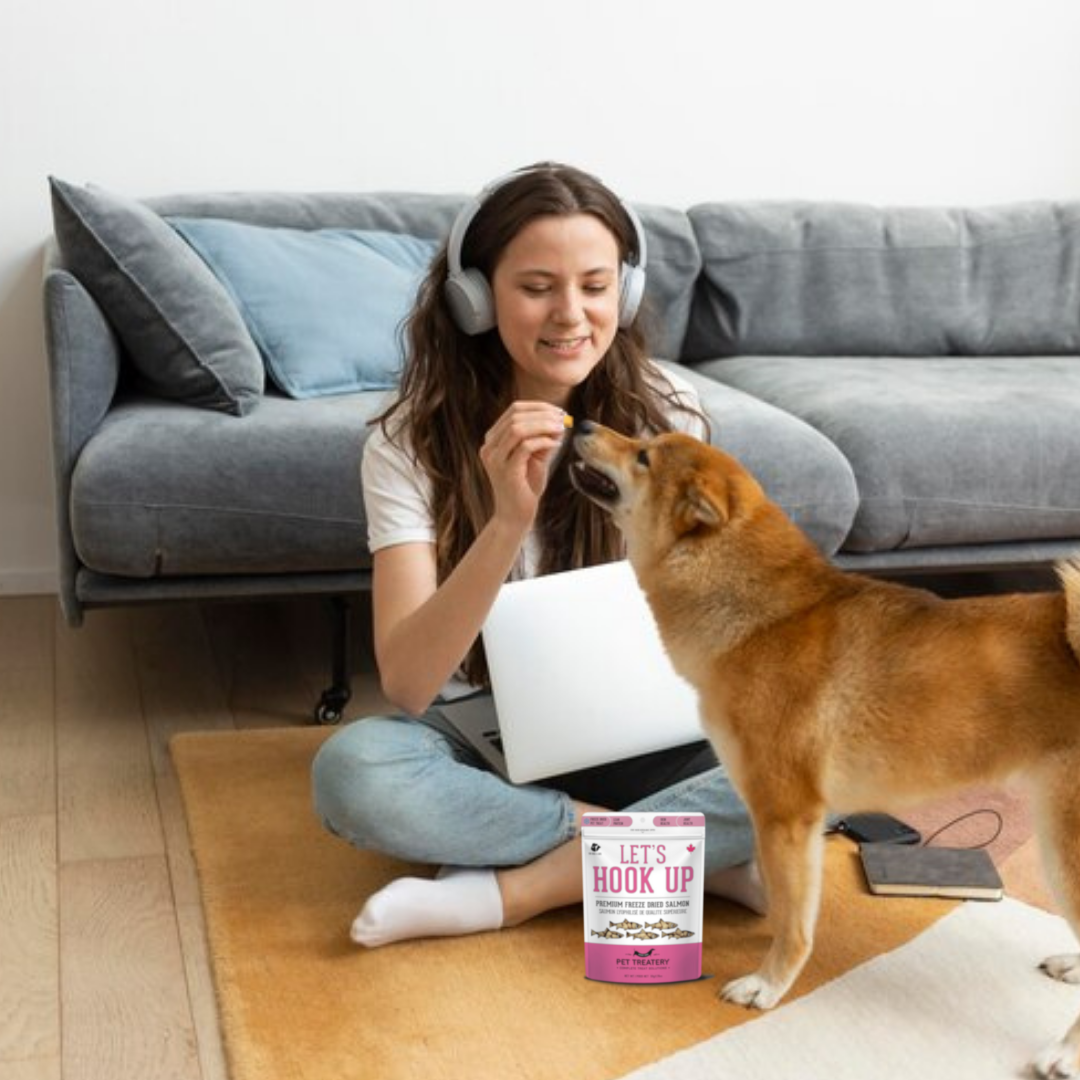 The Granville Island Pet Treatery - Let's Hook Up