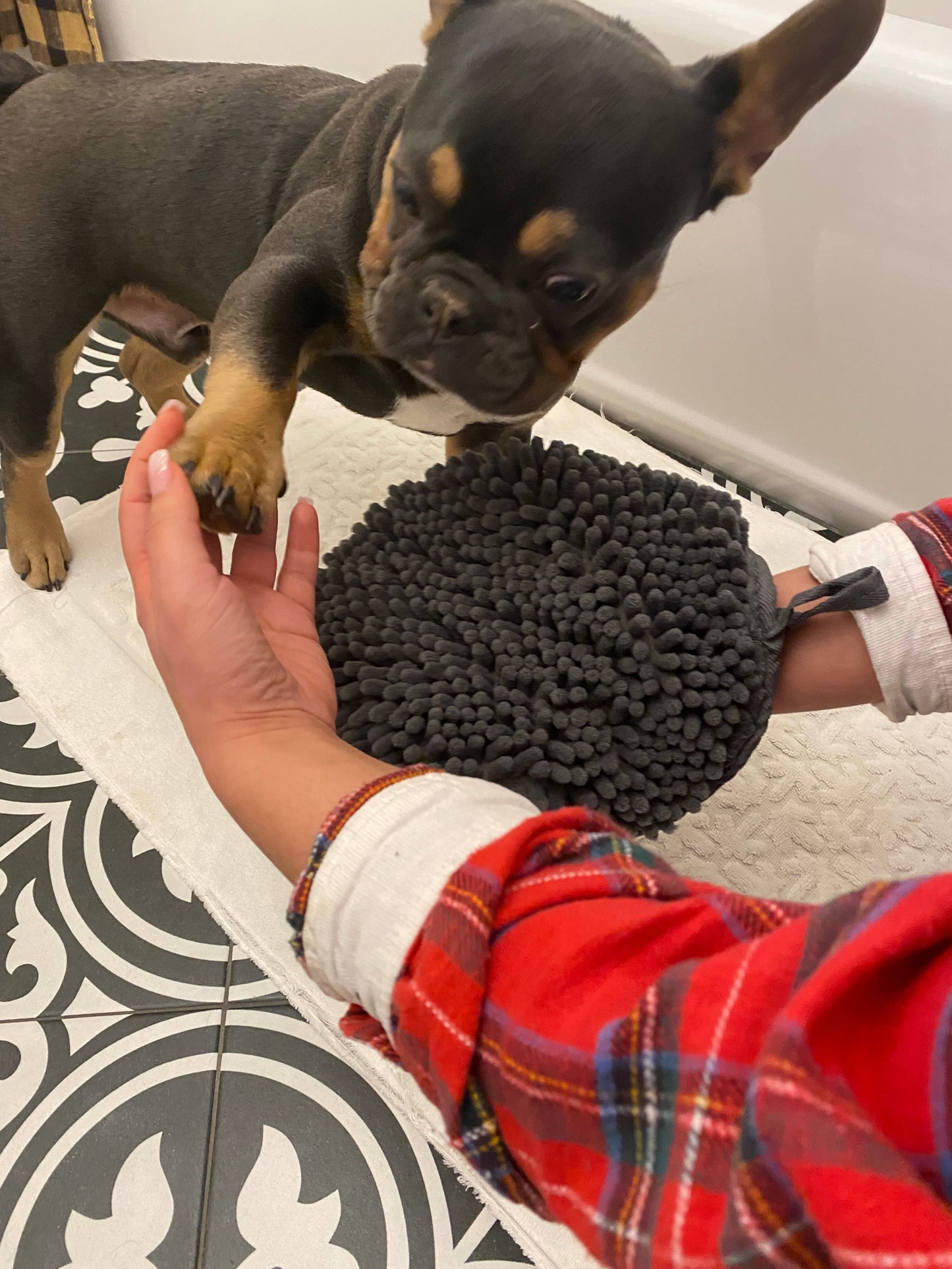 Tall Tails -  Clean Paws Drying Mitt