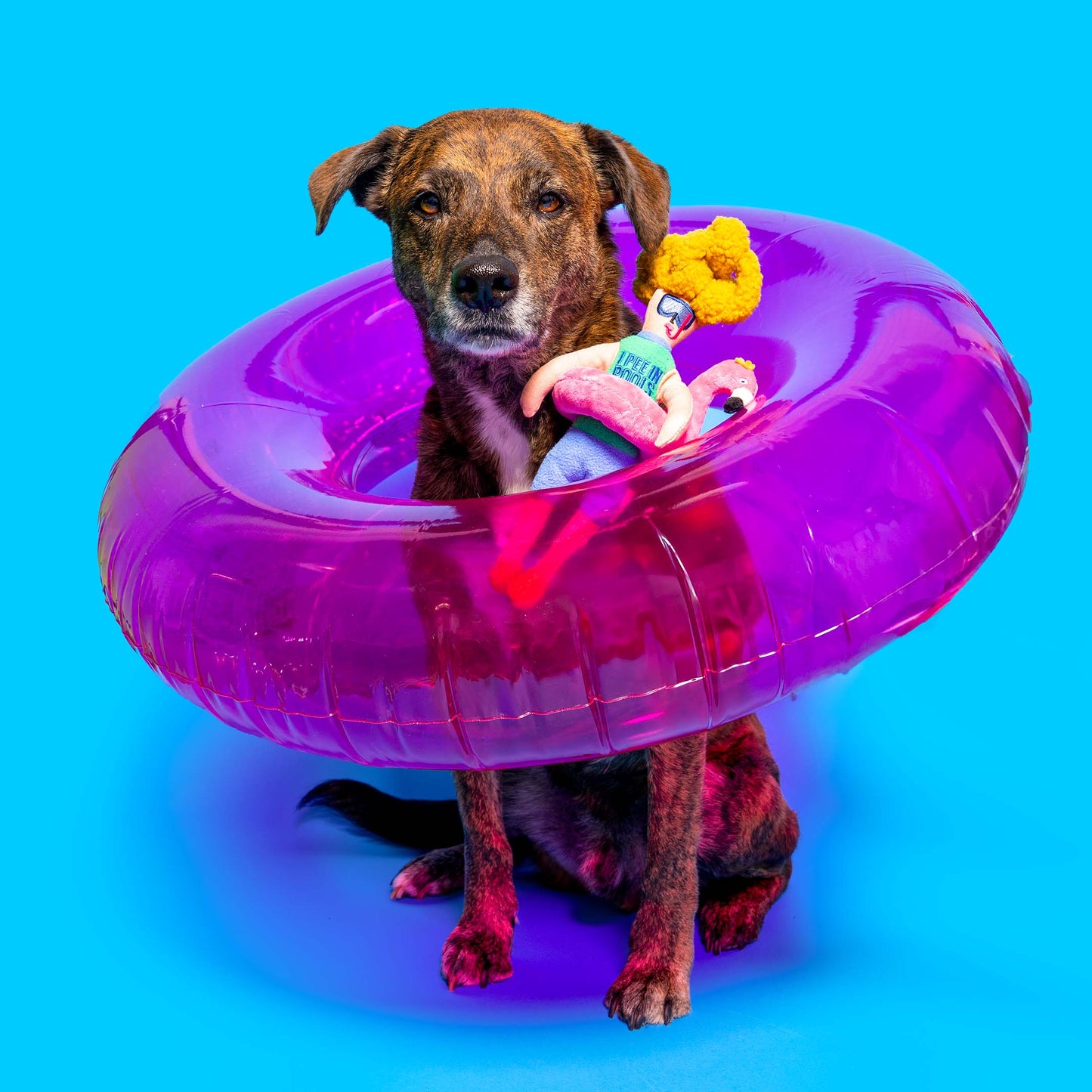 the furryfolks - Flamingo Hooman Nosework Toy