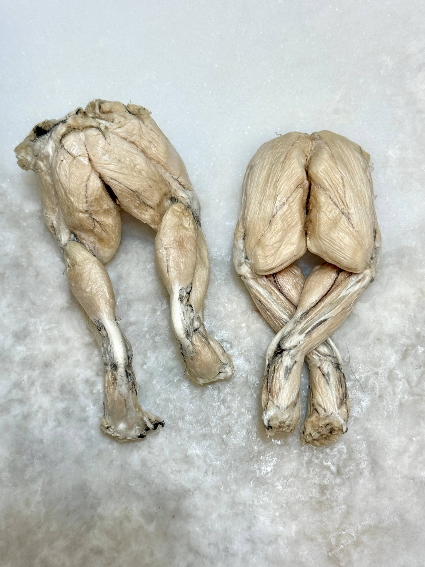 Frog Legs