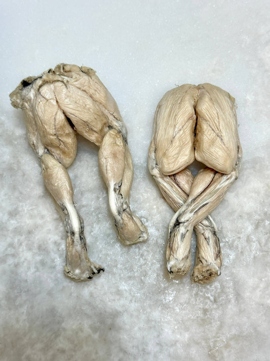 Frog Legs