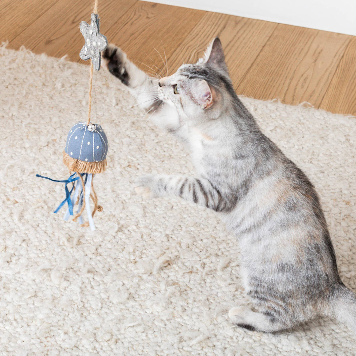Petshop by Fringe Studio - Ready for the Jelly