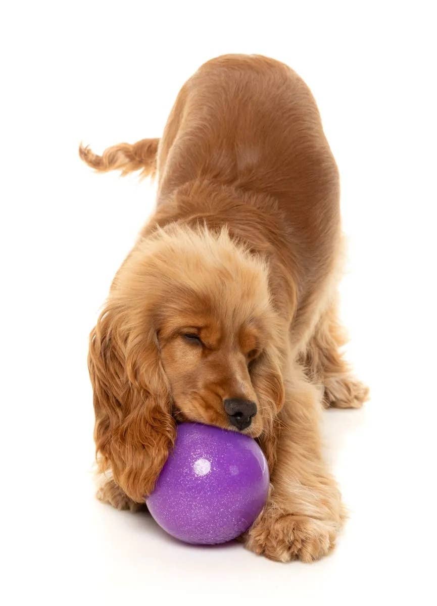 FuzzYard Truth Tellin' Treat Ball