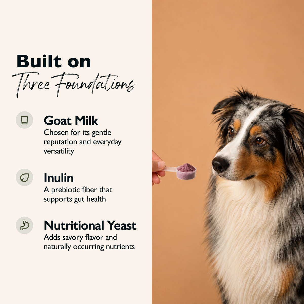 Glacier's Goodies - Goat Milk Dog Topper – Vitality (Beet & Blueberry)