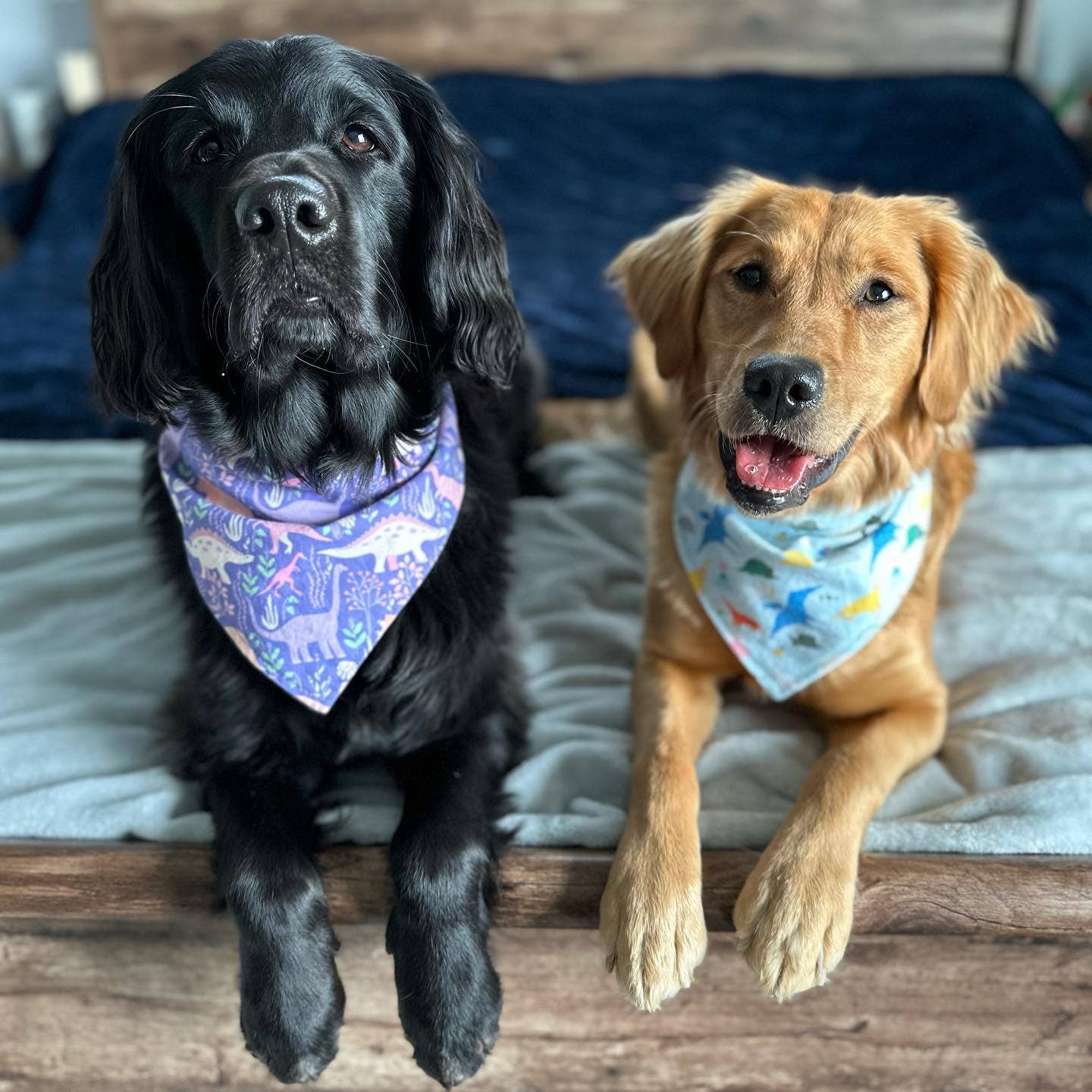 Bandana - Birthday Girl