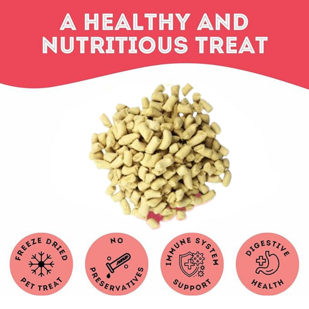 The Granville Island Pet Treatery - Giving Thanks