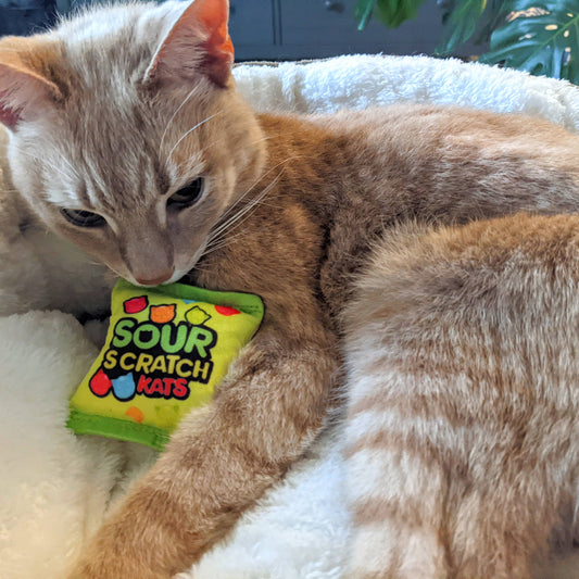 Huxley & Kent - Sour Scratch Kats Cat Toy