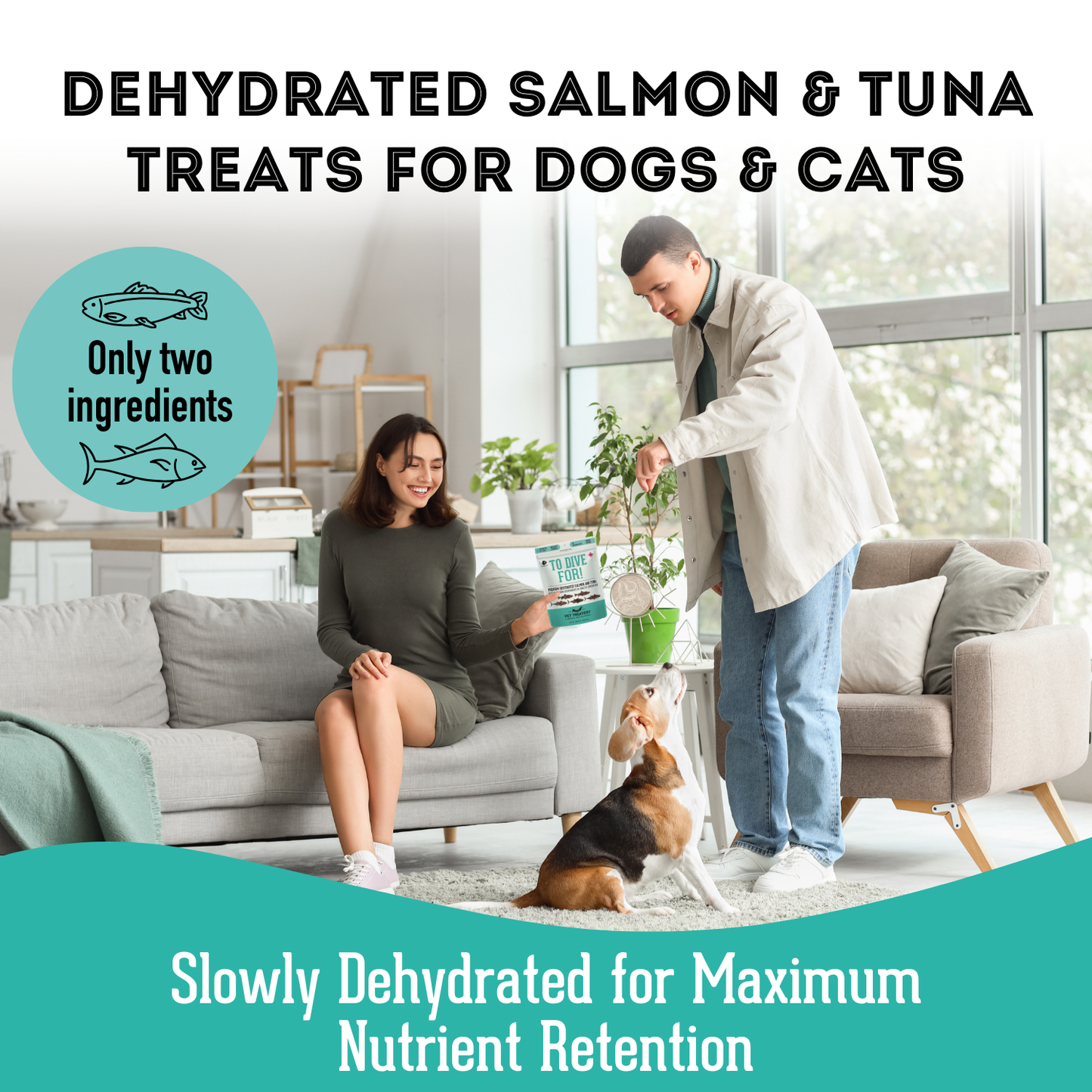 The Granville Island Pet Treatery - To Dive For!
