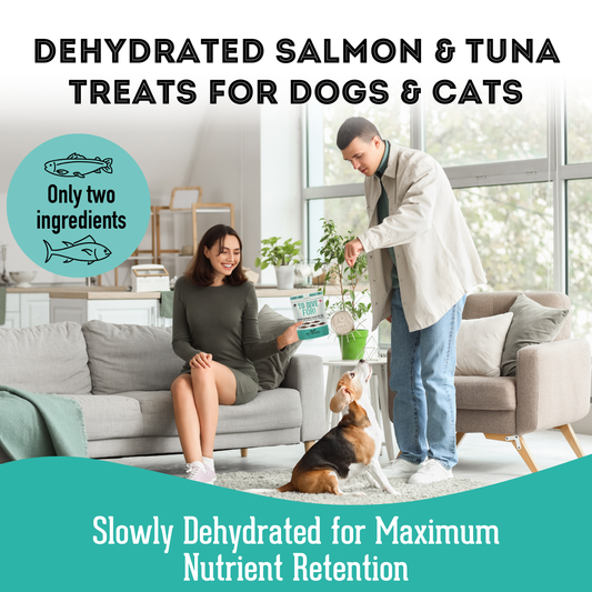 The Granville Island Pet Treatery - To Dive For!
