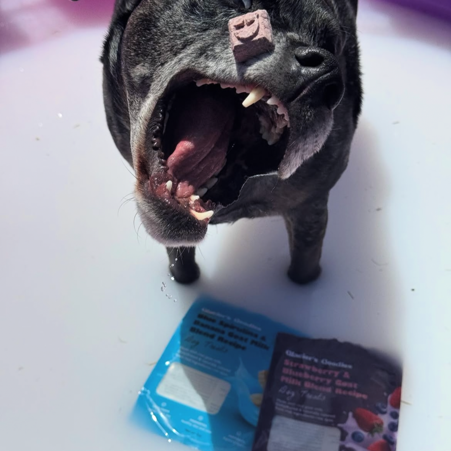 Glacier's Goodies - Goat Milk Dog Treats – Banana & Peanut