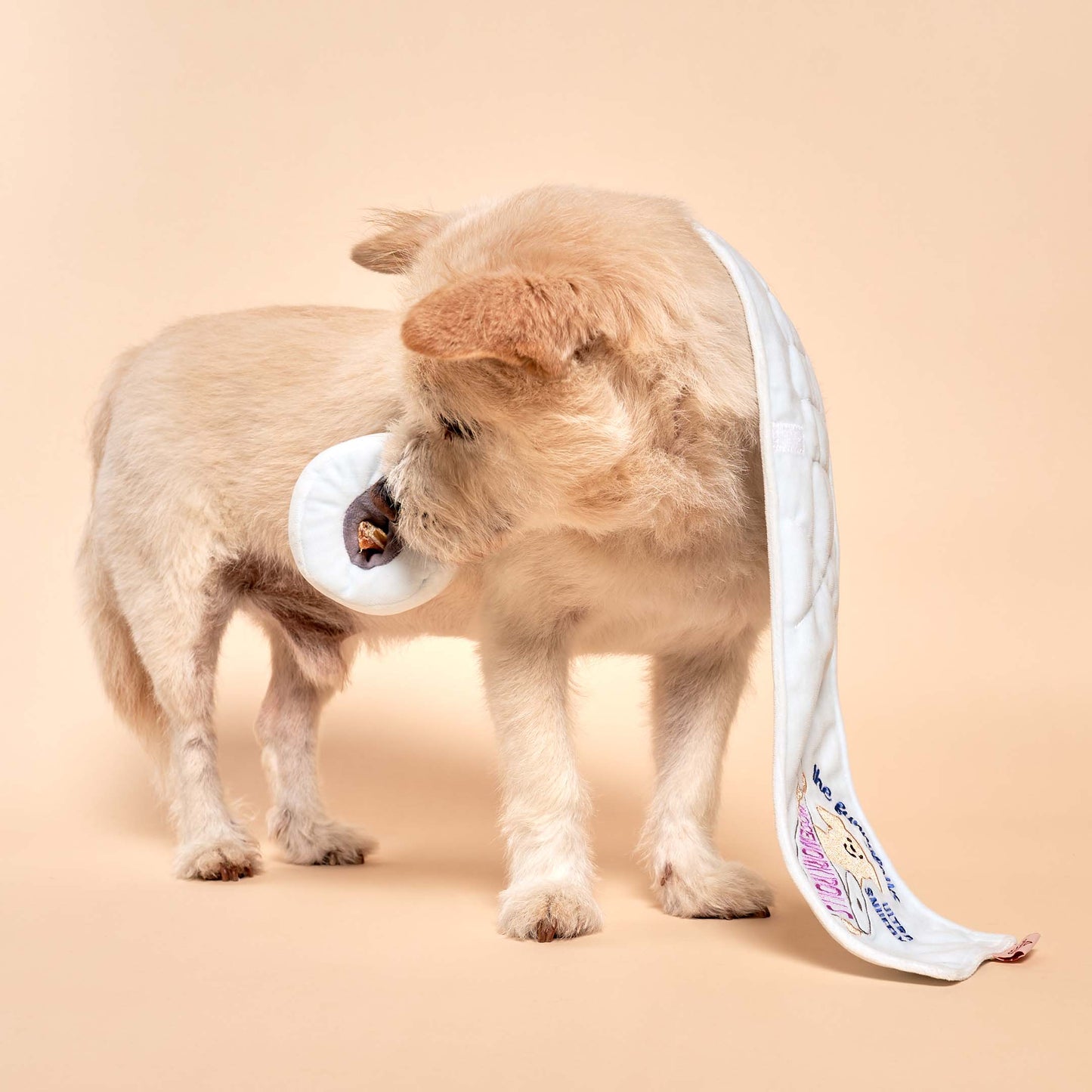 the furryfolks - Toilet Paper Nosework Toy