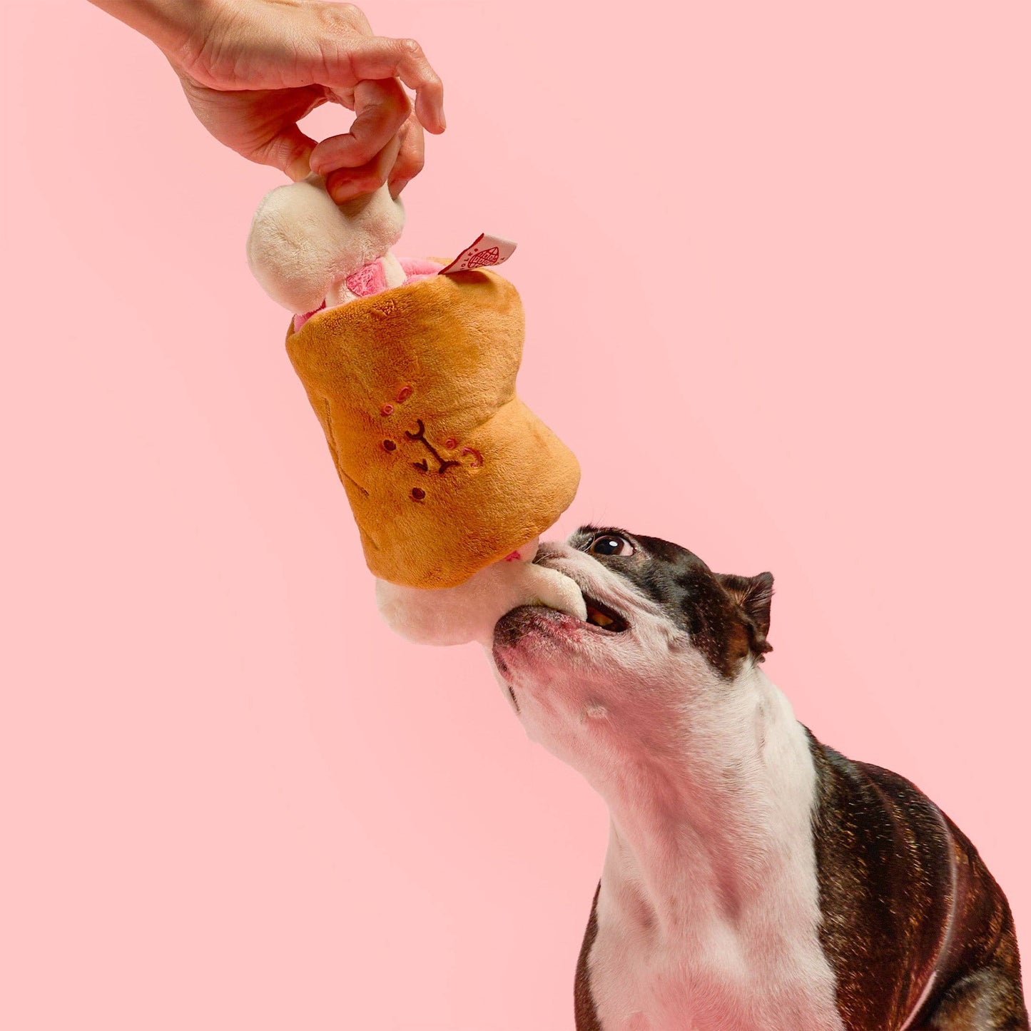 the furryfolks - Bone Appétit Nosework Toy