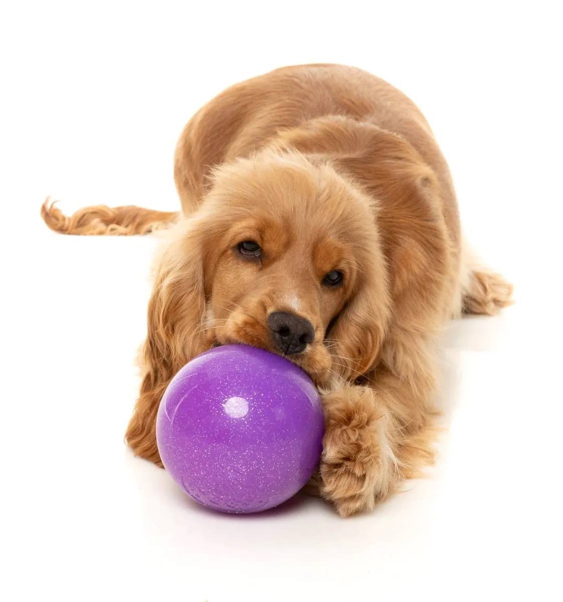 FuzzYard Truth Tellin' Treat Ball
