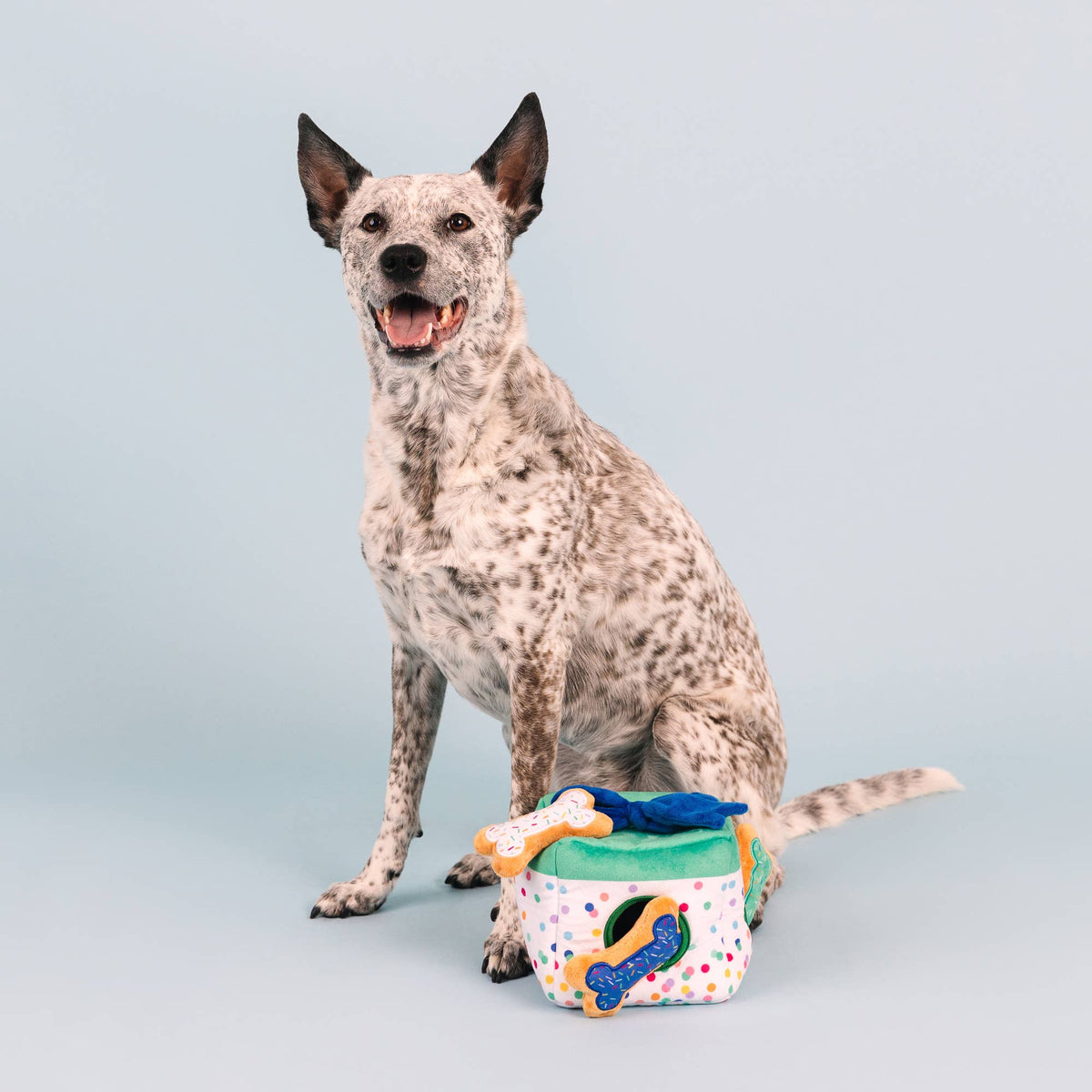 Petshop by Fringe Studio - All About the Gifts Burrow