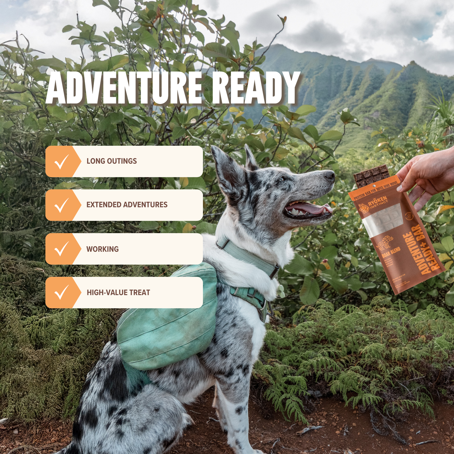 Ryōken Instinct Adventure Ready Bar - Boar
