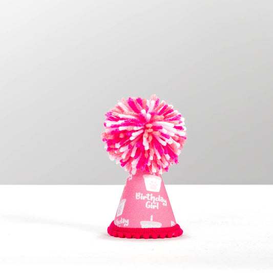 Pup Party Hats - Birthday Girl