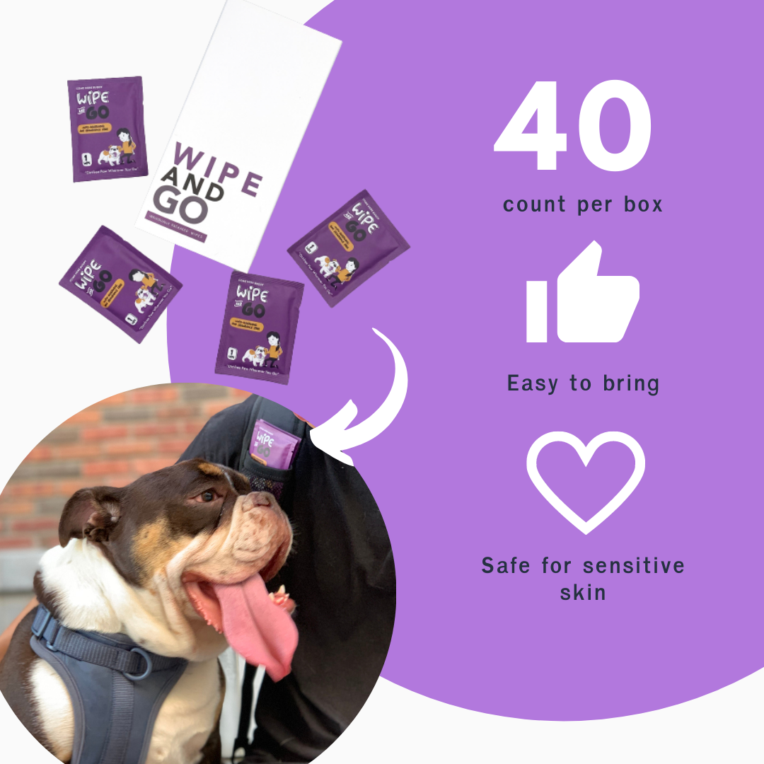 Come Here Buddy - Wipe and Go Pet Grooming Wipes
