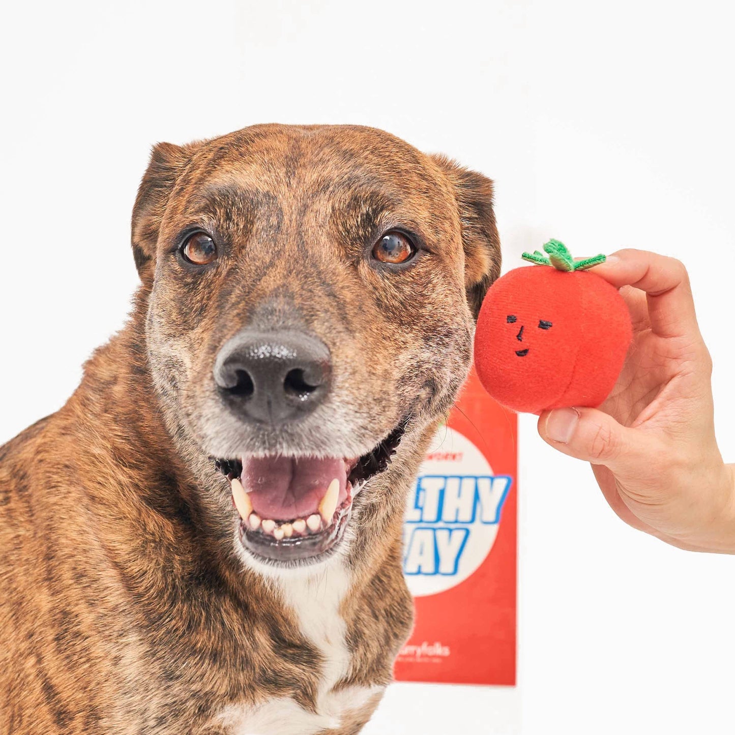 the furryfolks - Cherry Tomato Nose Work & Tug Toy