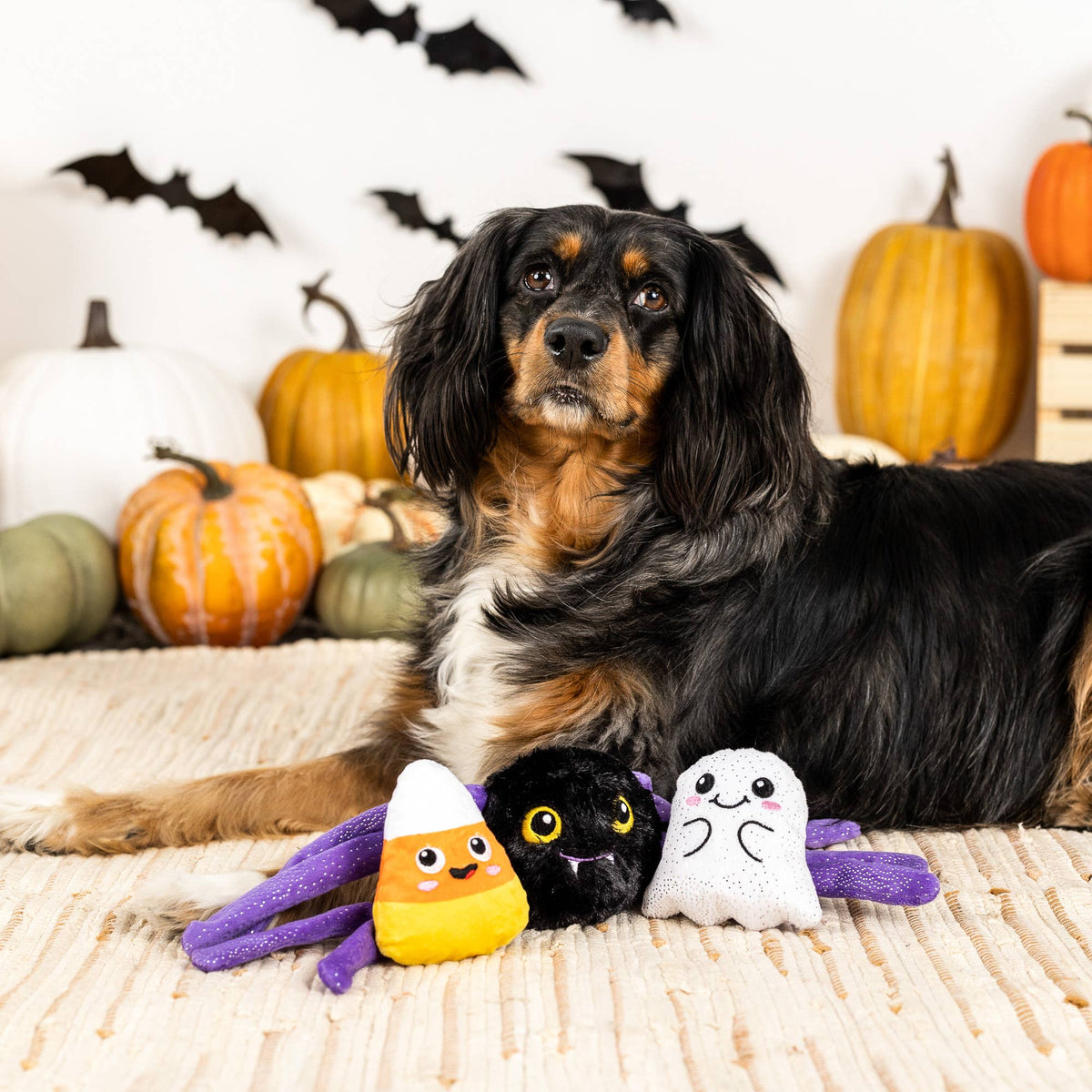 Petshop by Fringe Studio - Frightly Friends Set