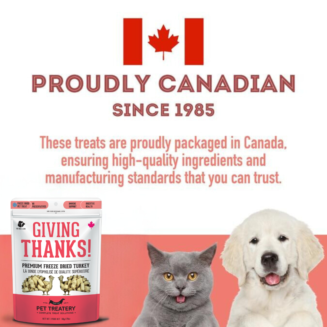 The Granville Island Pet Treatery - Giving Thanks