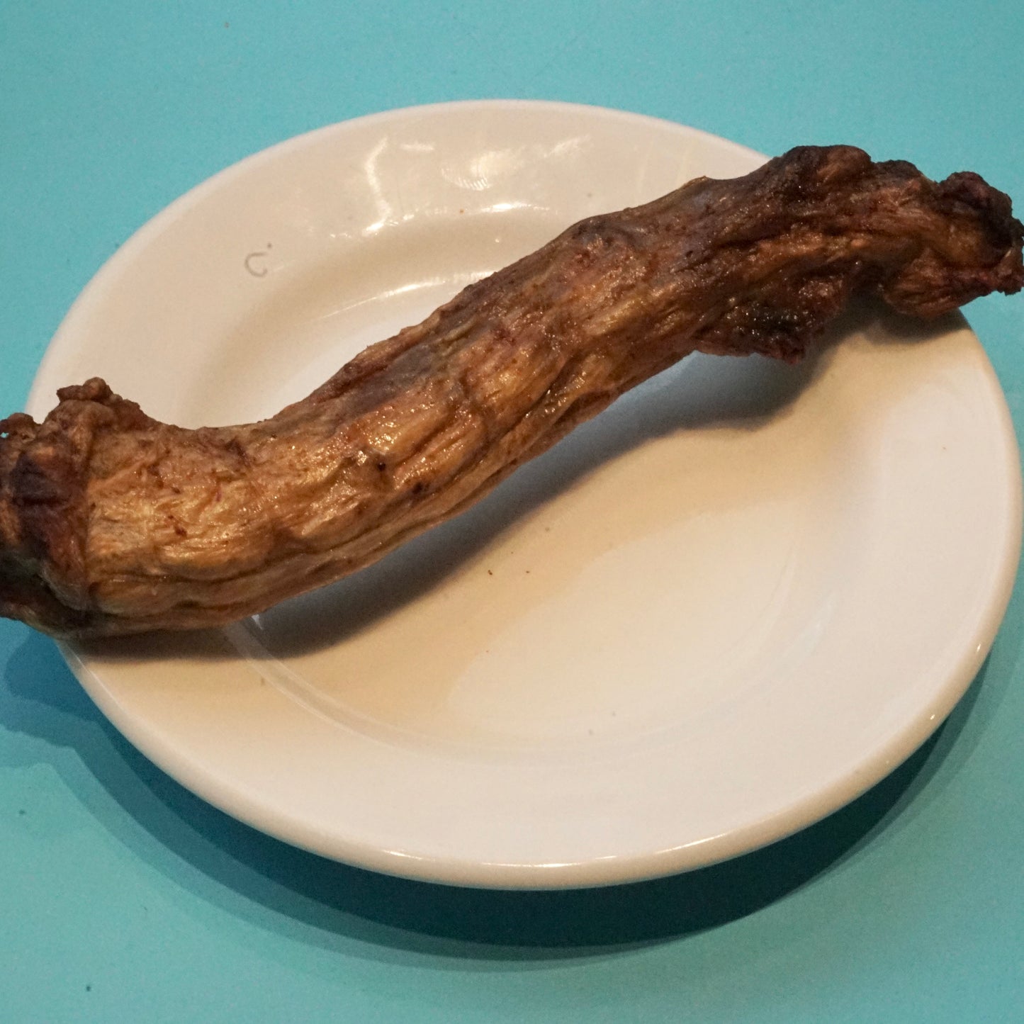Duck Neck