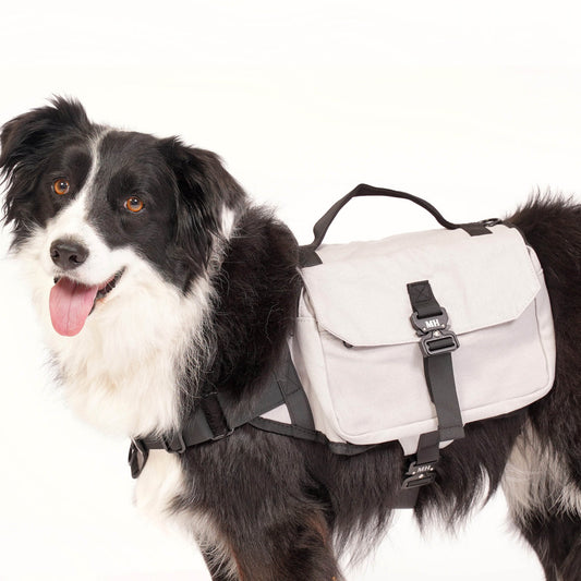 Mountain Hound - Trailblazer Dog Pack