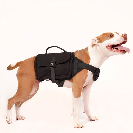 Mountain Hound - Trailblazer Dog Pack