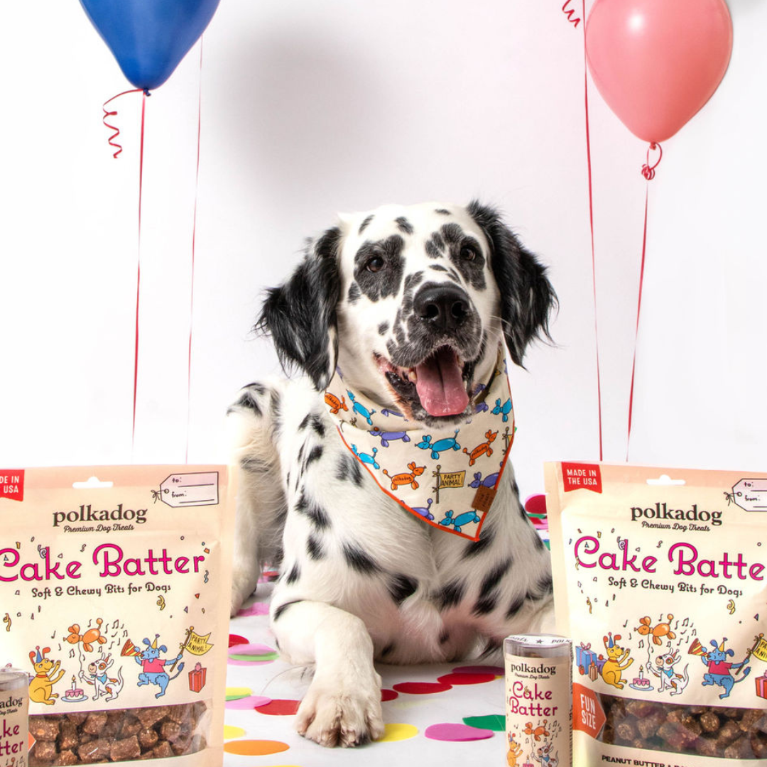 Polkadog - Training Bits - Cake Batter (Peanut Butter & Banana)