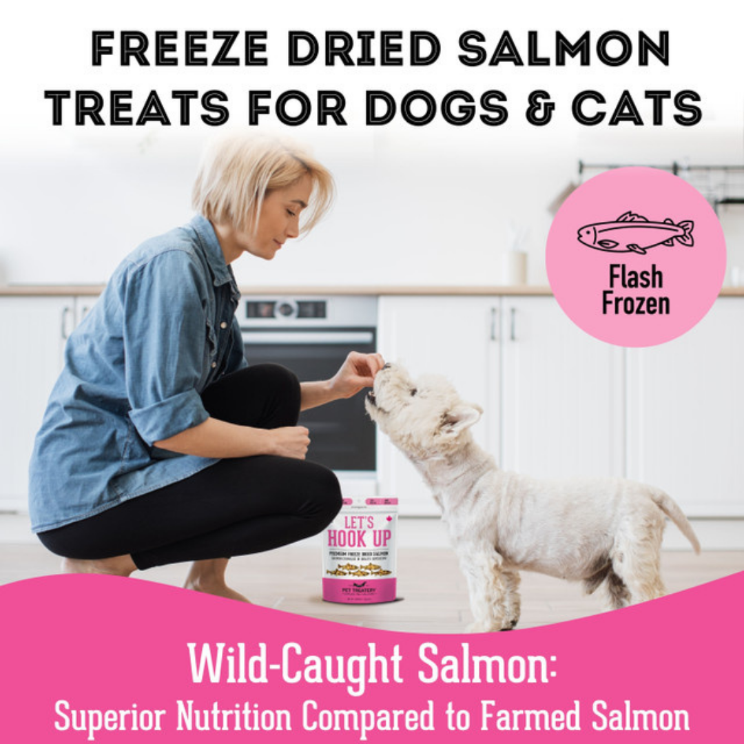 The Granville Island Pet Treatery - Let's Hook Up