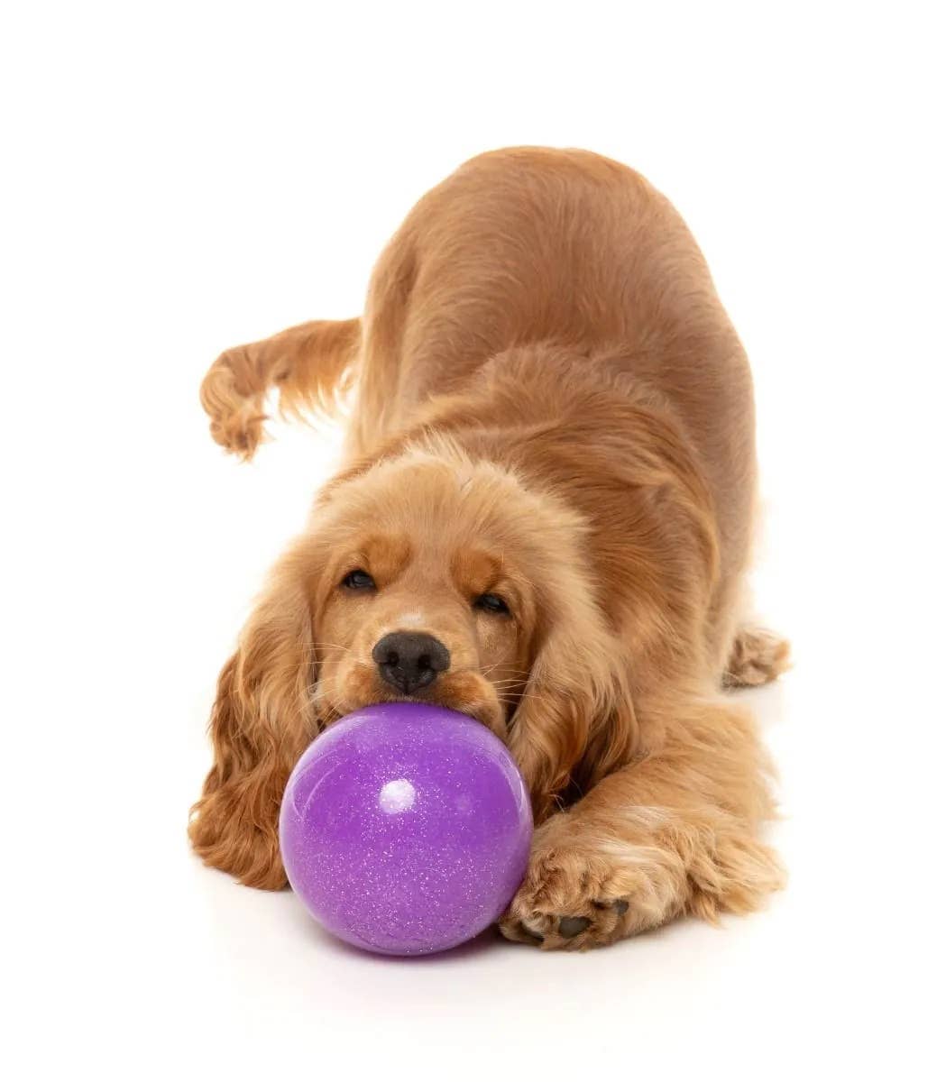 FuzzYard Truth Tellin' Treat Ball