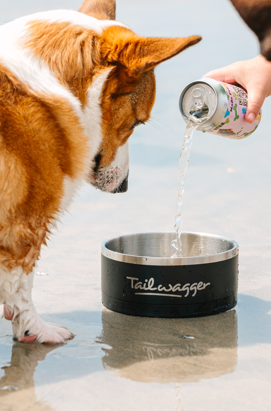 Tailwagger Dog Beer - Beefy Brown Ale