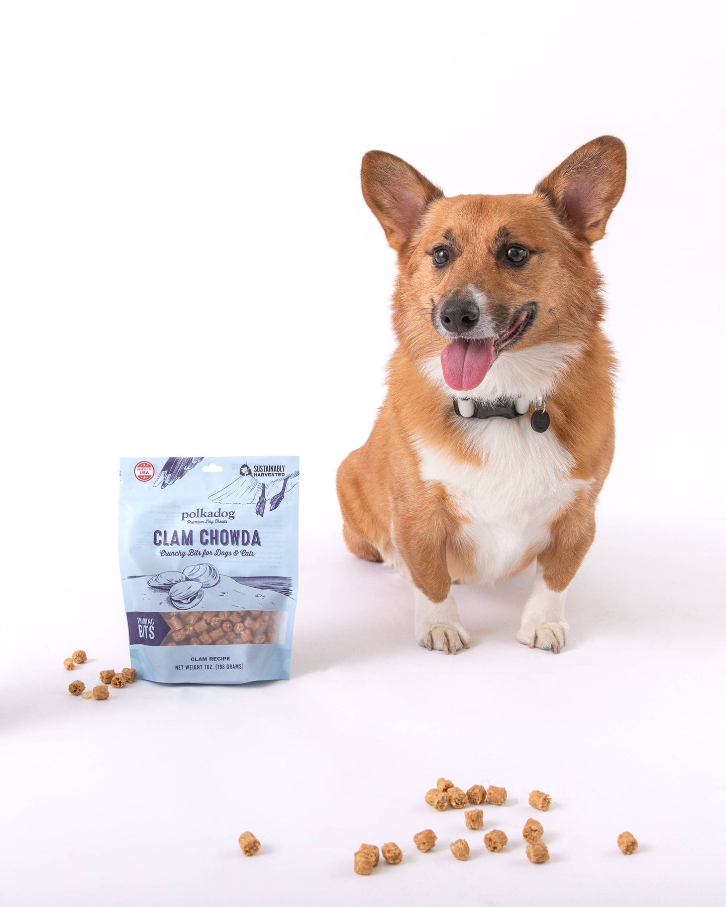 Polkadog - Training Bits - Clam Chowda