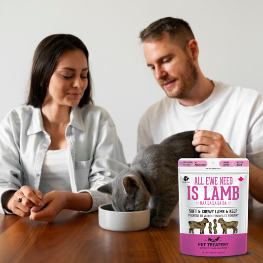 The Granville Island Pet Treatery - All Ewe Need is Lamb