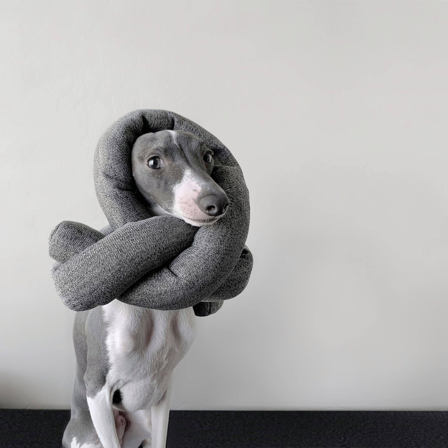 Lambwolf Collective - Nou - Charcoal