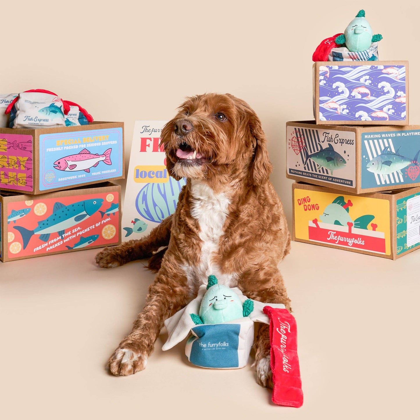 the furryfolks - Fish Express Nosework Toy