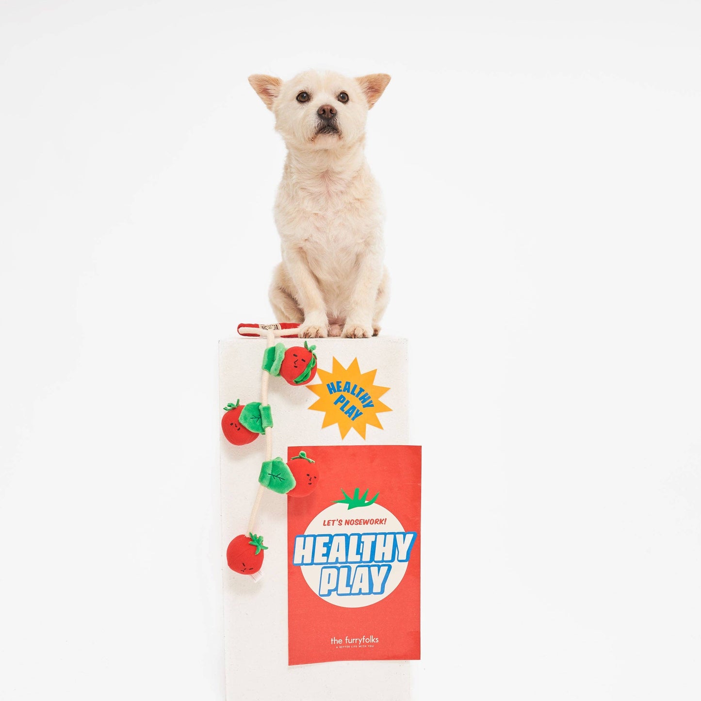 the furryfolks - Cherry Tomato Nose Work & Tug Toy