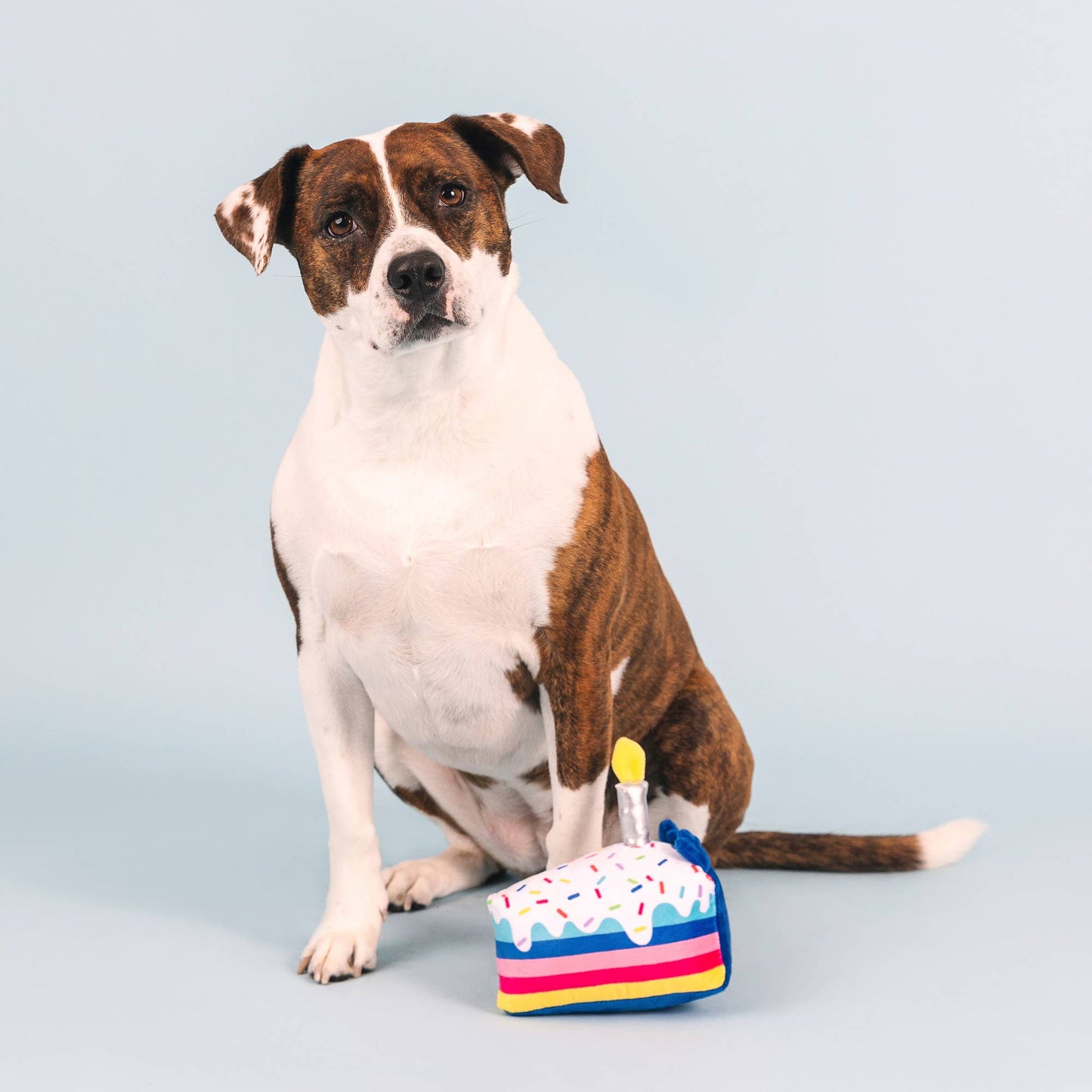 Petshop by Fringe Studio - Cake It Easy