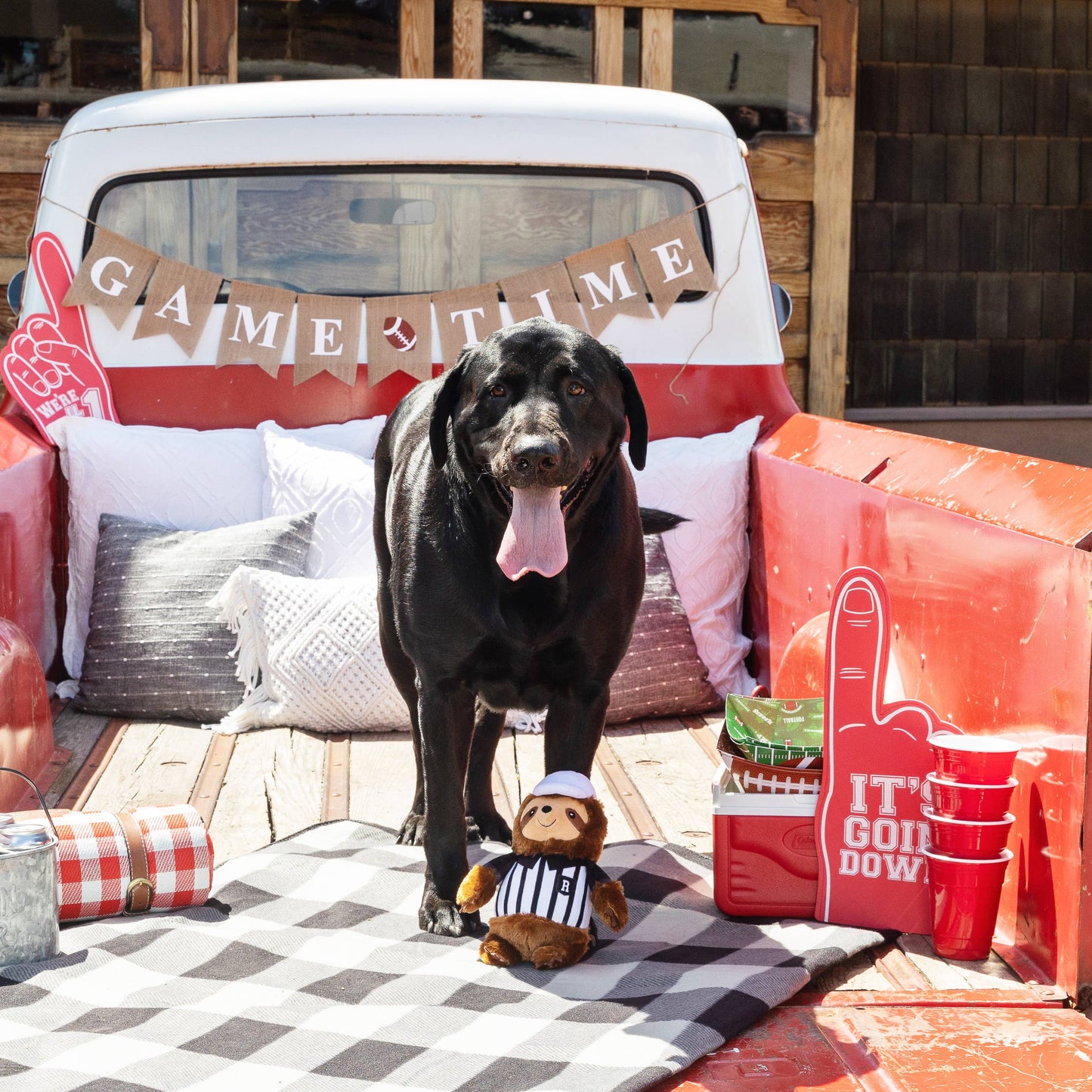 Petshop by Fringe Studio - Rufferee