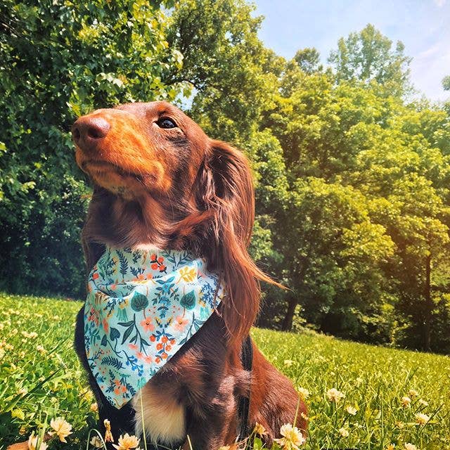 Bandana - Birthday Girl