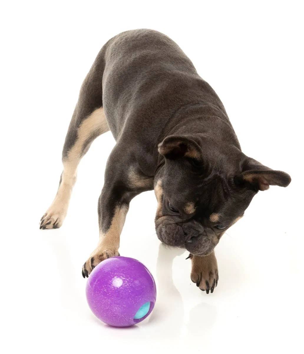 FuzzYard Truth Tellin' Treat Ball